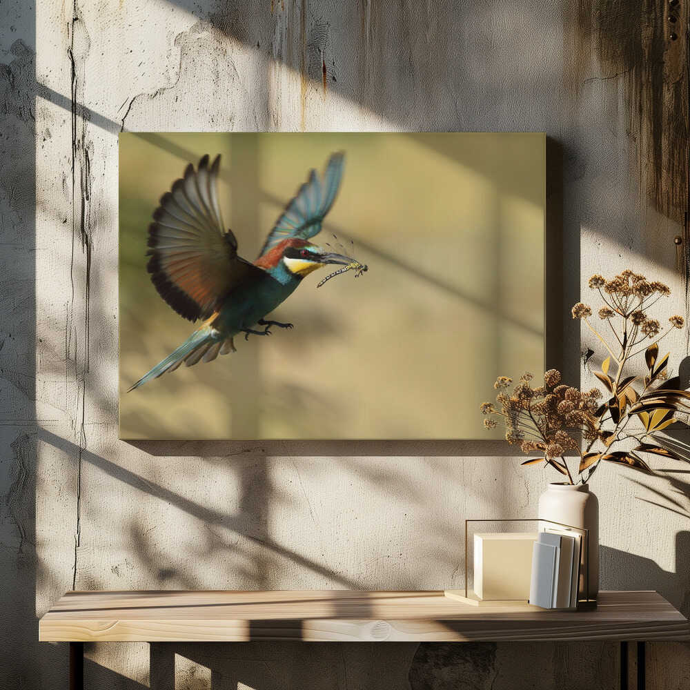 Dragonfly and bee-eater