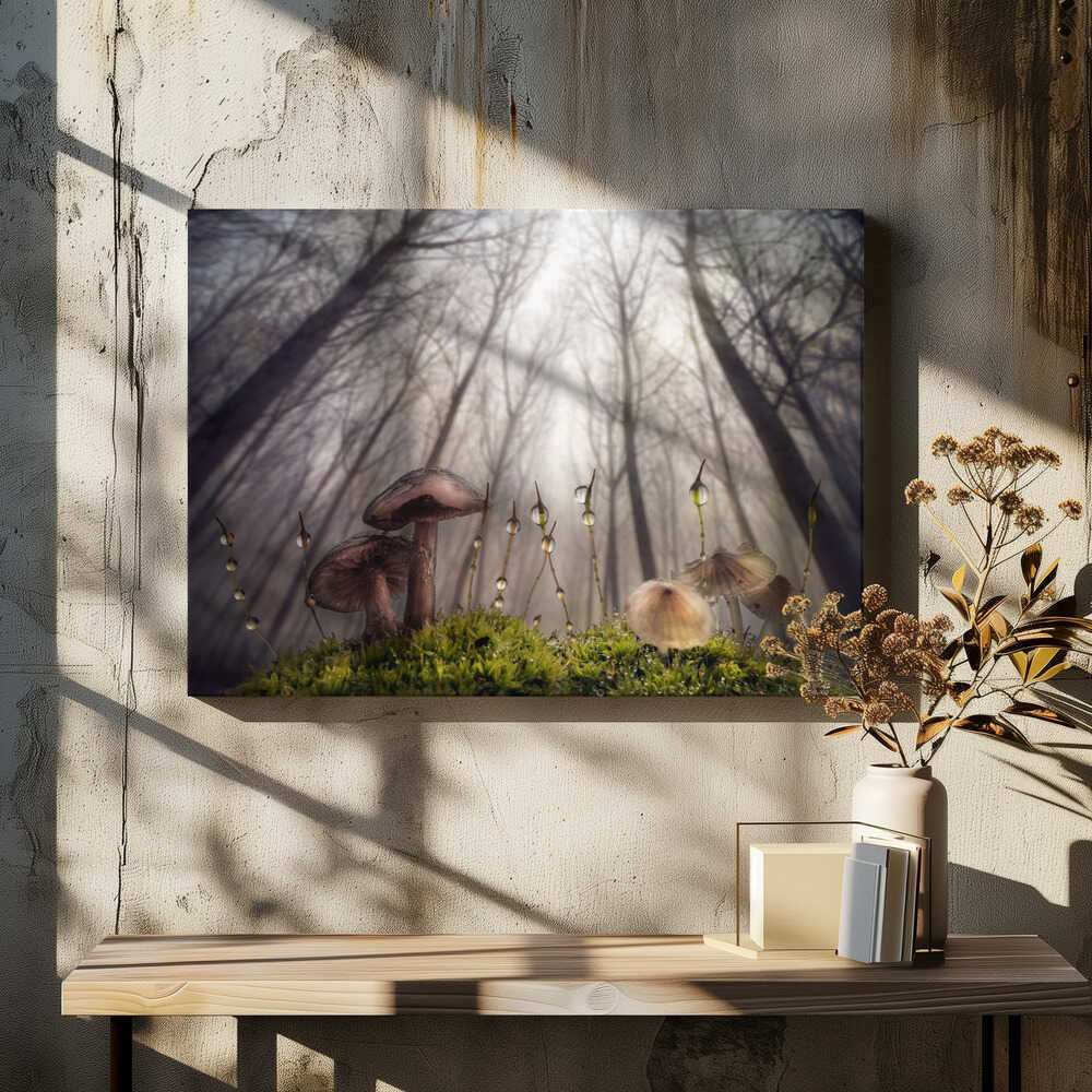 Small and giant creatures of the woods