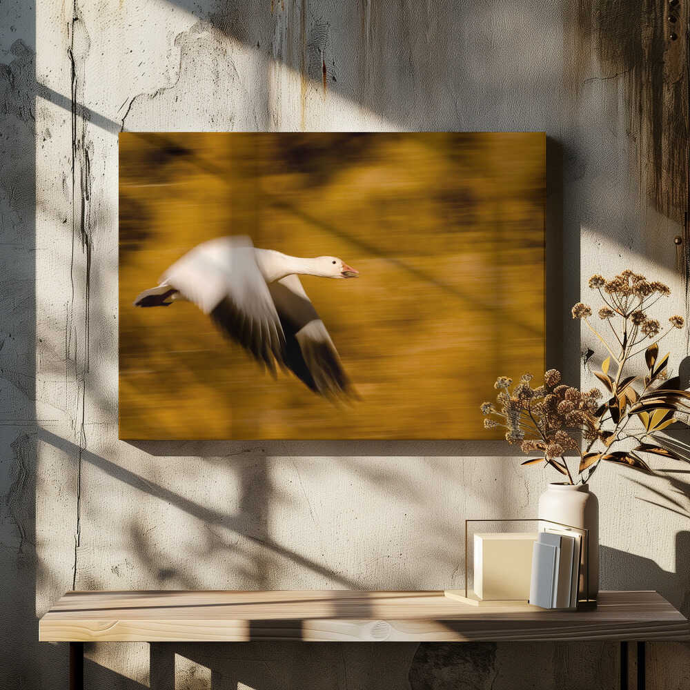 Goose with Cottonwoods