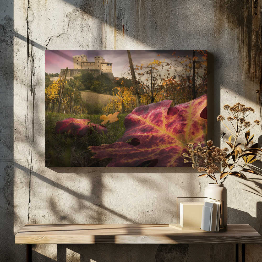 The colors tribute of the leaves