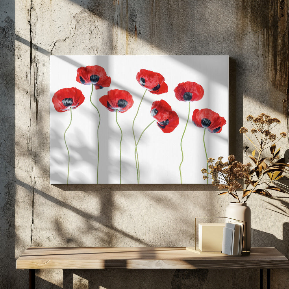Ladybird Poppies