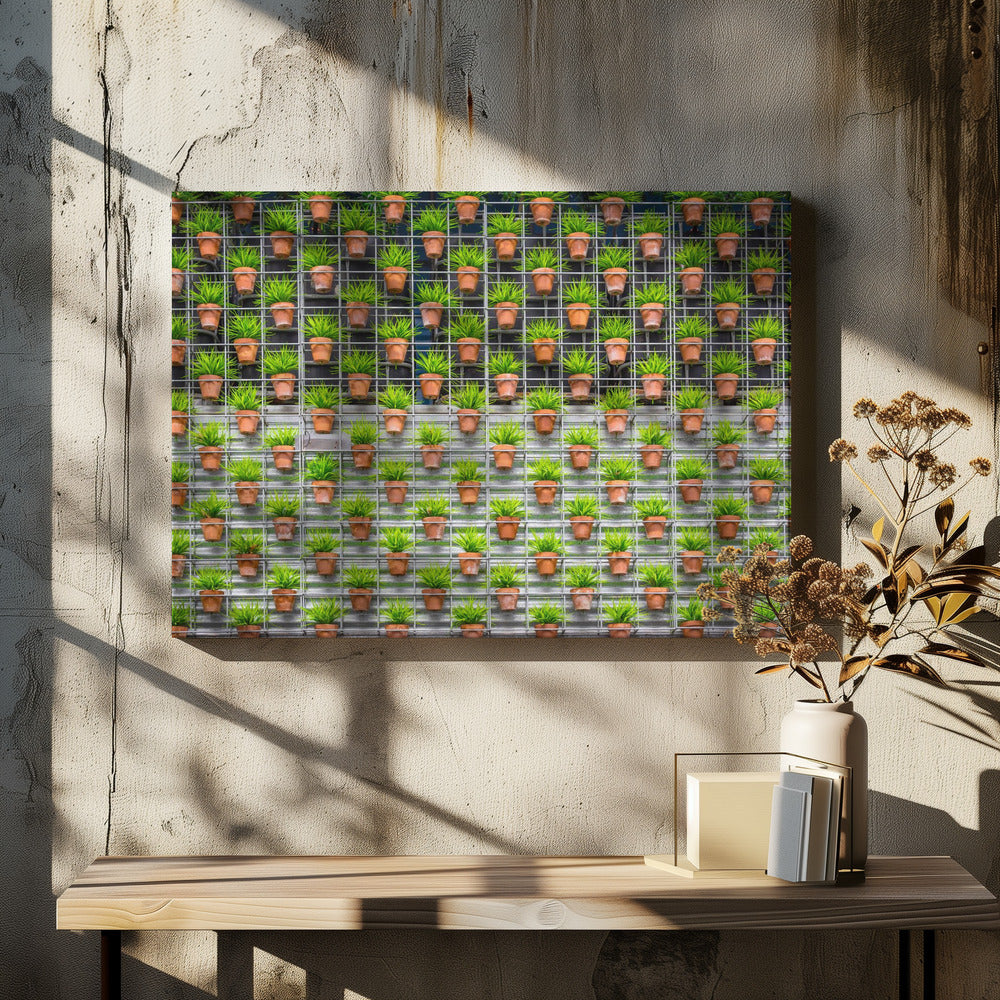 I had a dream tonight