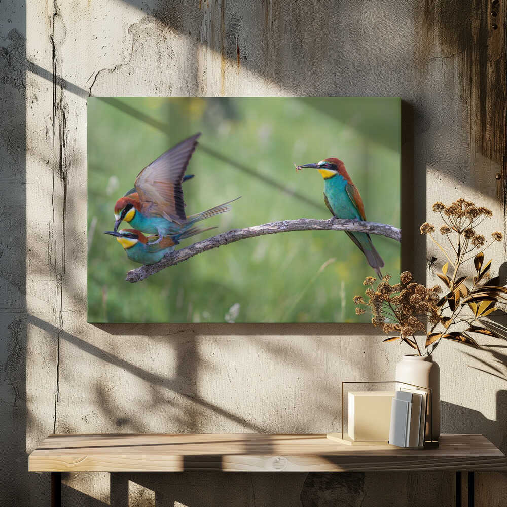 The disappointed lover