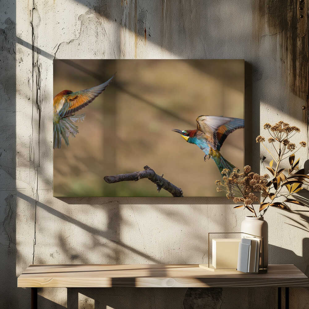 Du rififi chez les guêpiers