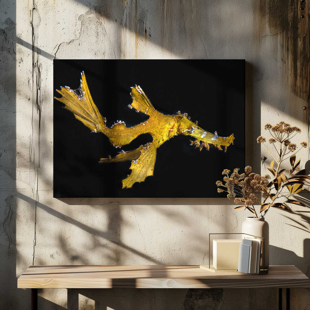 Delicate ghost pipefish