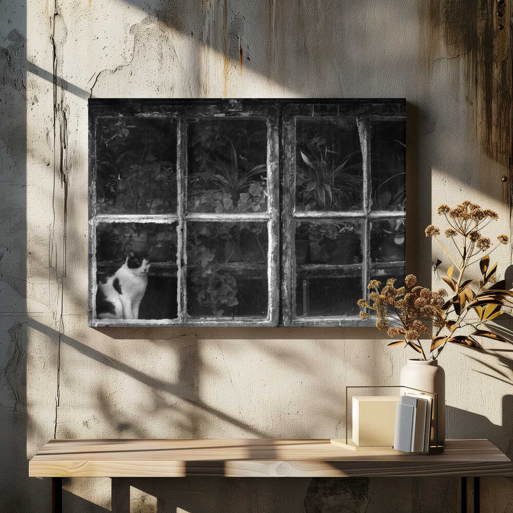 Black & White Cat at Botanical Garden