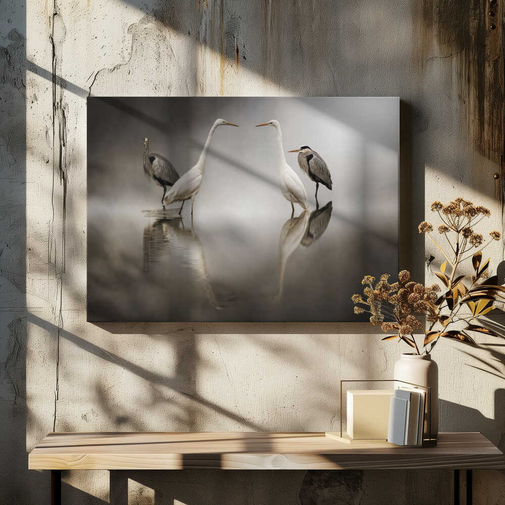 Challenges in the snow