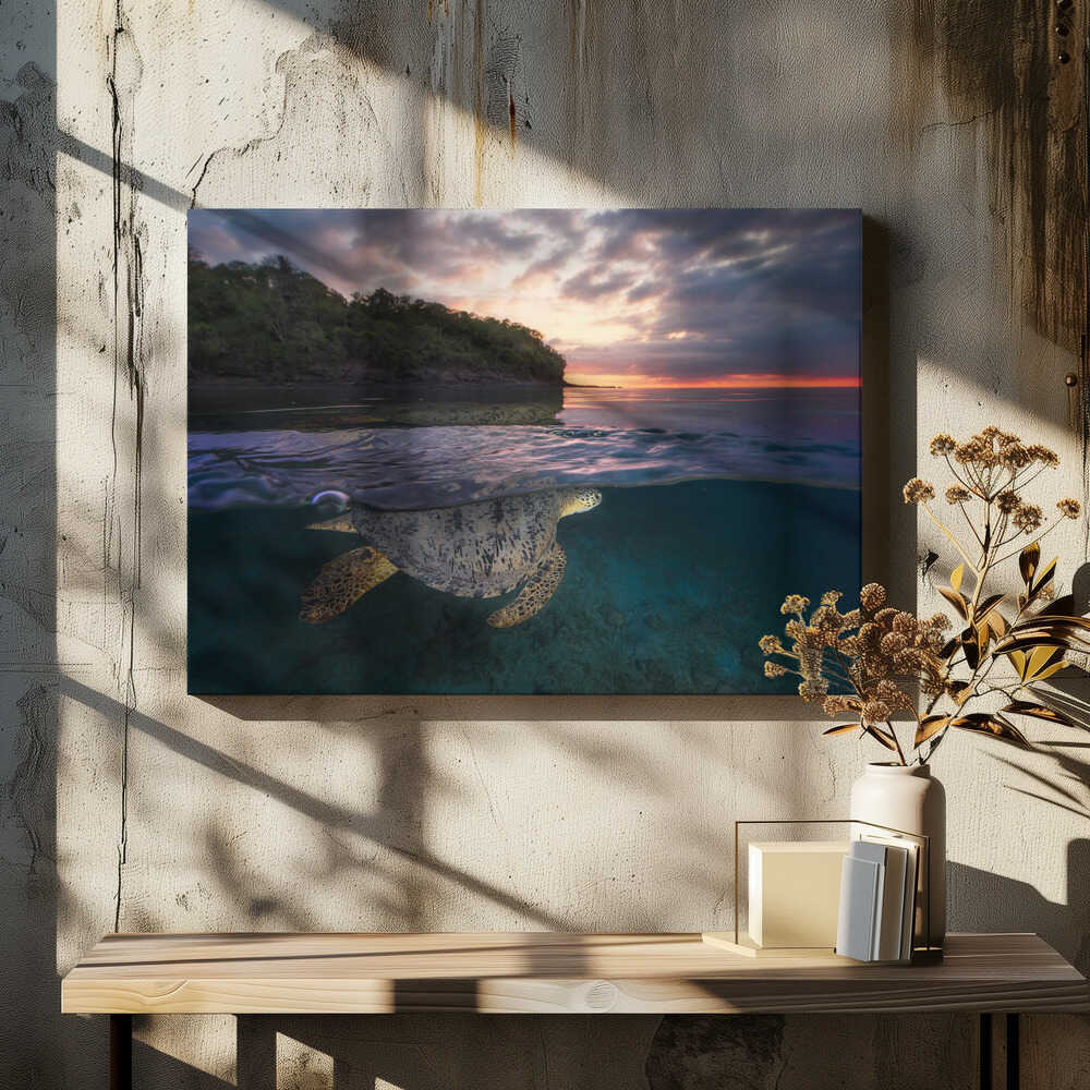 Over the surface - Sea Turtle