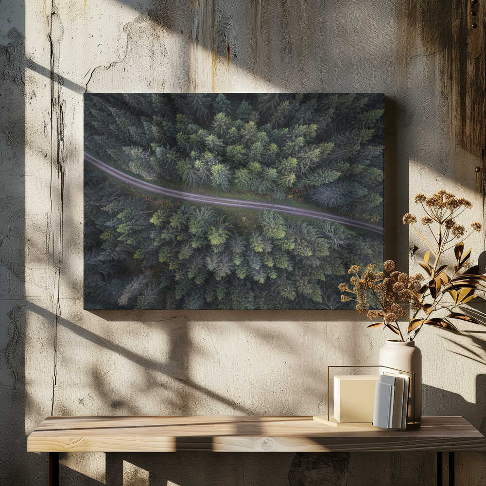 Small road through the forest