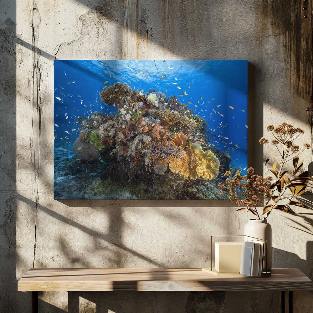 Underwater biodiversity