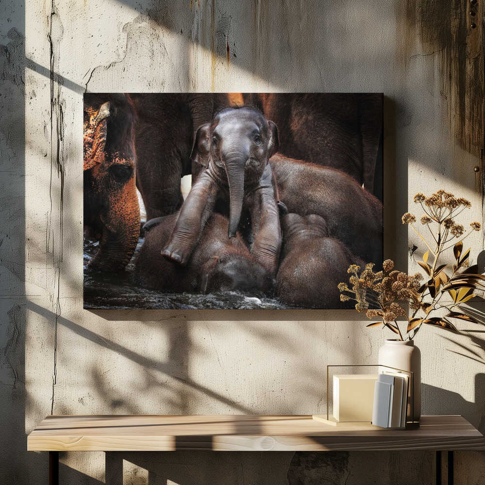 THE little PRINCE ....