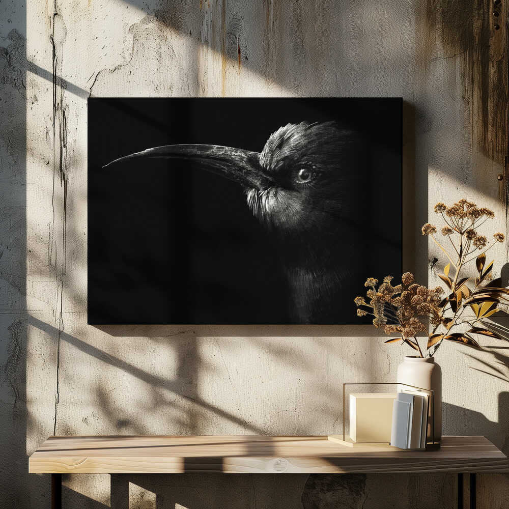 Northern Carmine Bee-eater #2