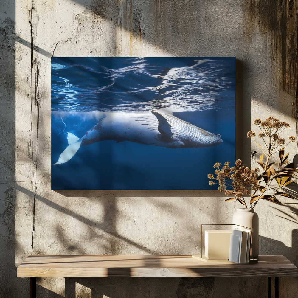 On the surface of the water: a humpback whale