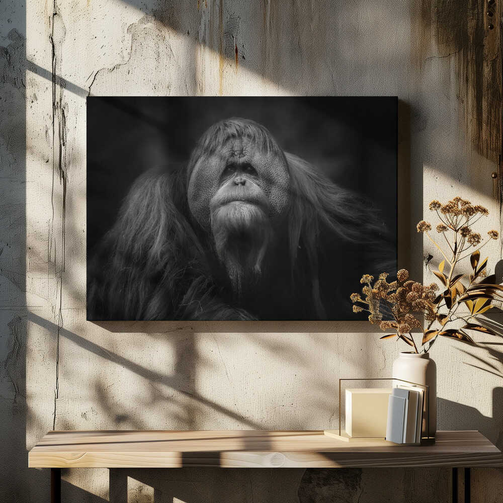 The King of the territory