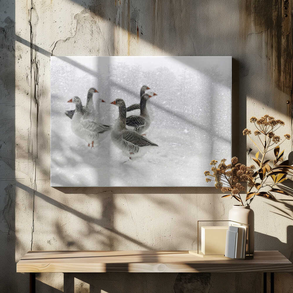 lost in a white world