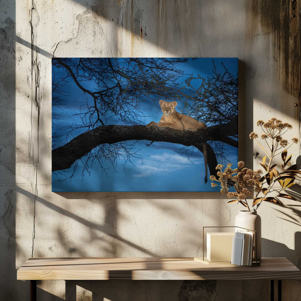 Her majesty in the light!