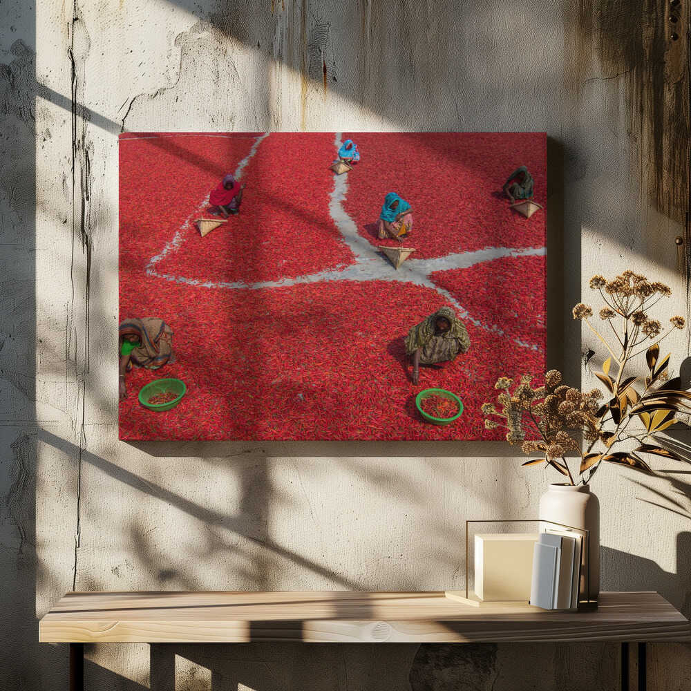 Women collecting red chilies