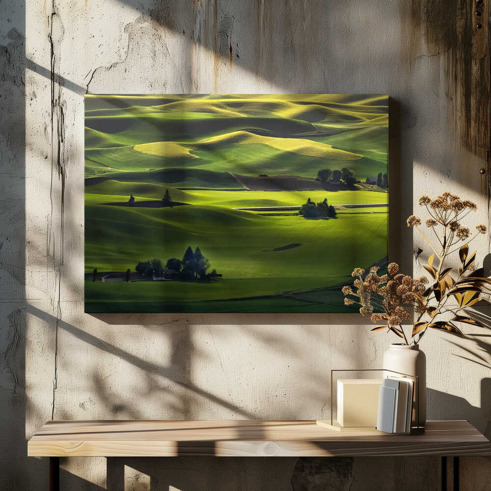 Early morning in the spring