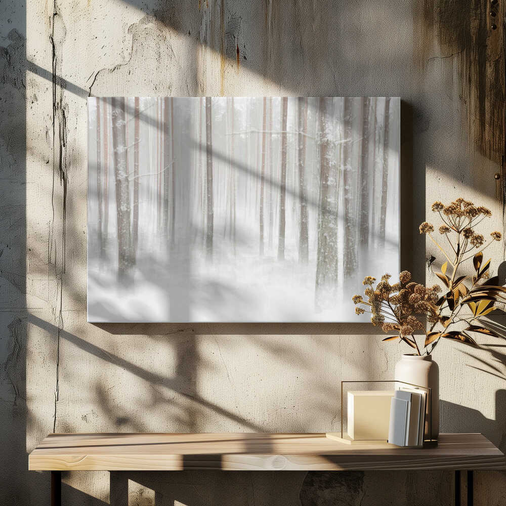 Winterforest in Sweden