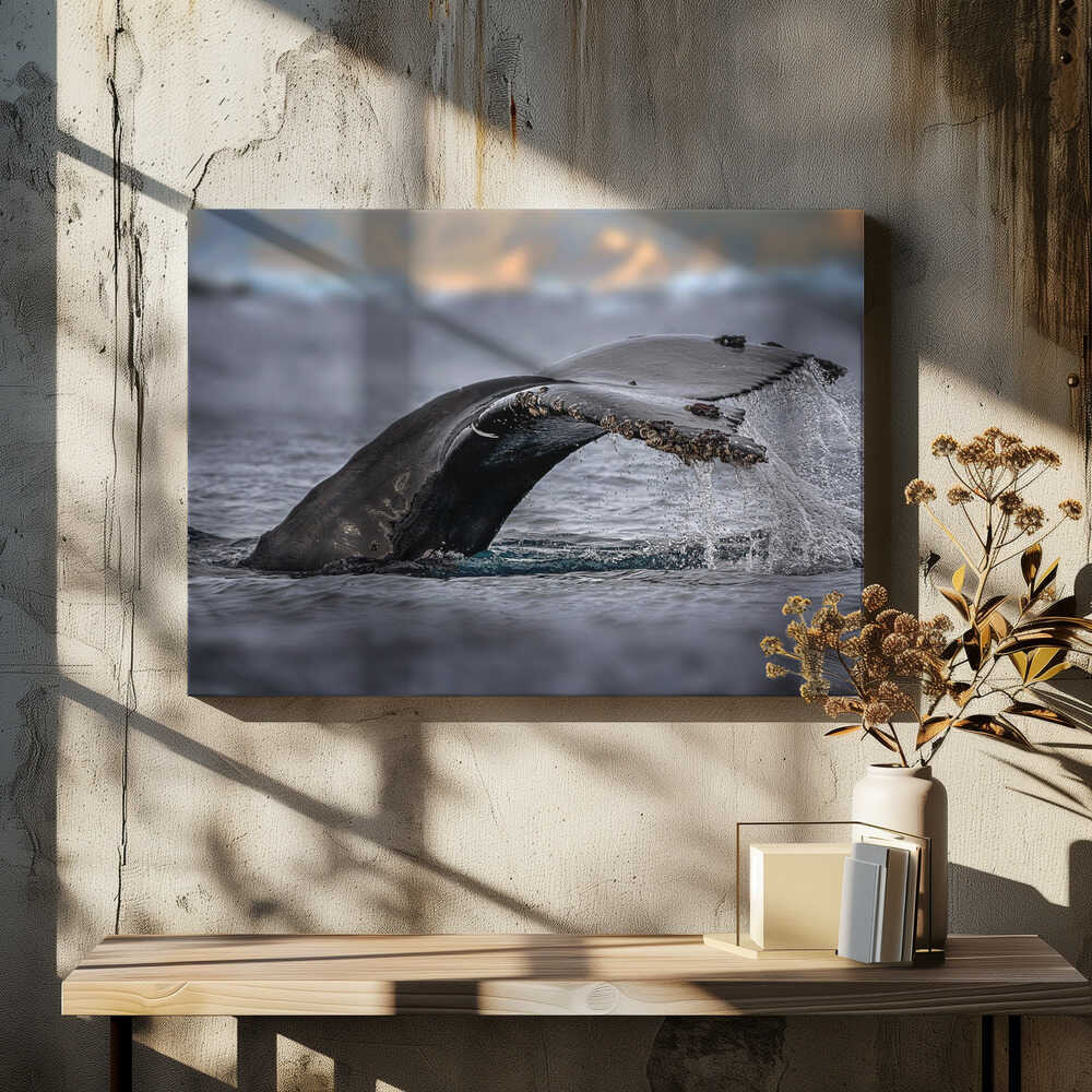 Humpback whale, the owner of Antarctic Ocean