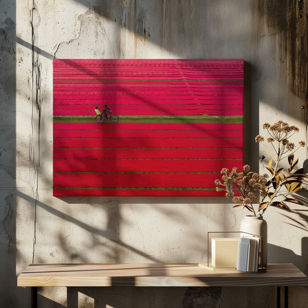 Bicycle on red cloths