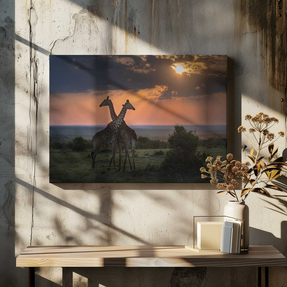 Backlighting at the dusk