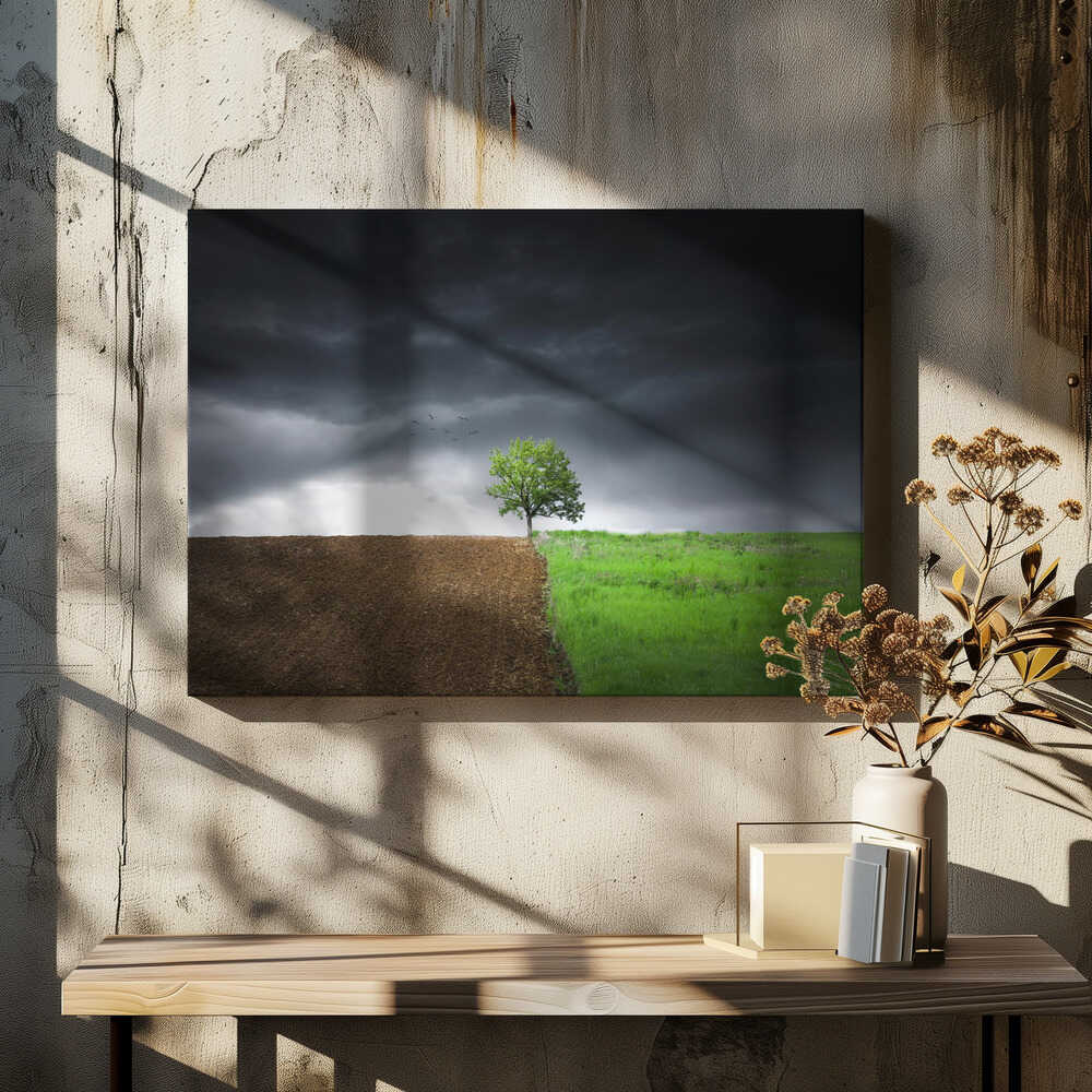 Lonely tree against a dramatic sky!