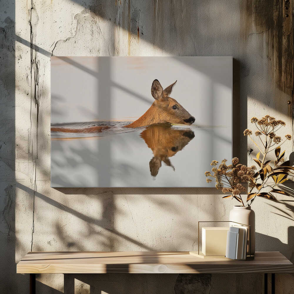 Practicing her delightful morning swim...