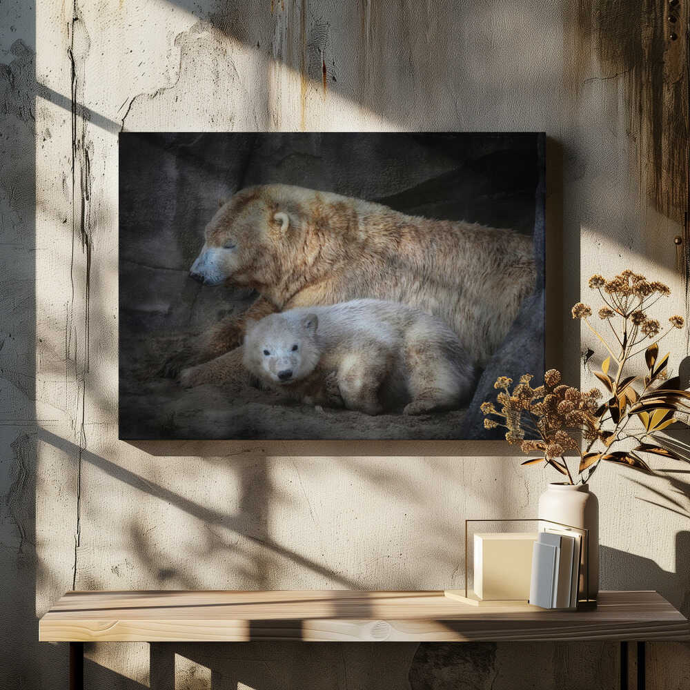 HER CUTENESS, the afternoon nap