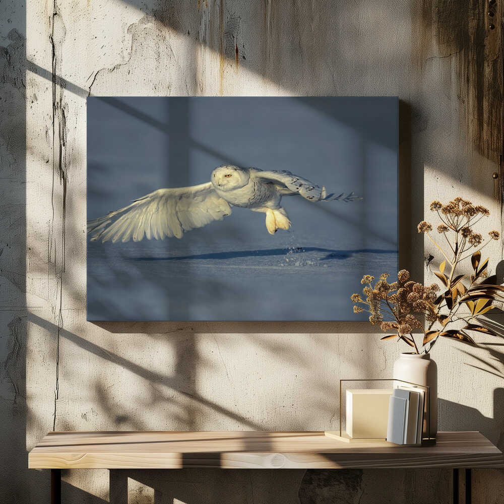 A princess from the North Pole