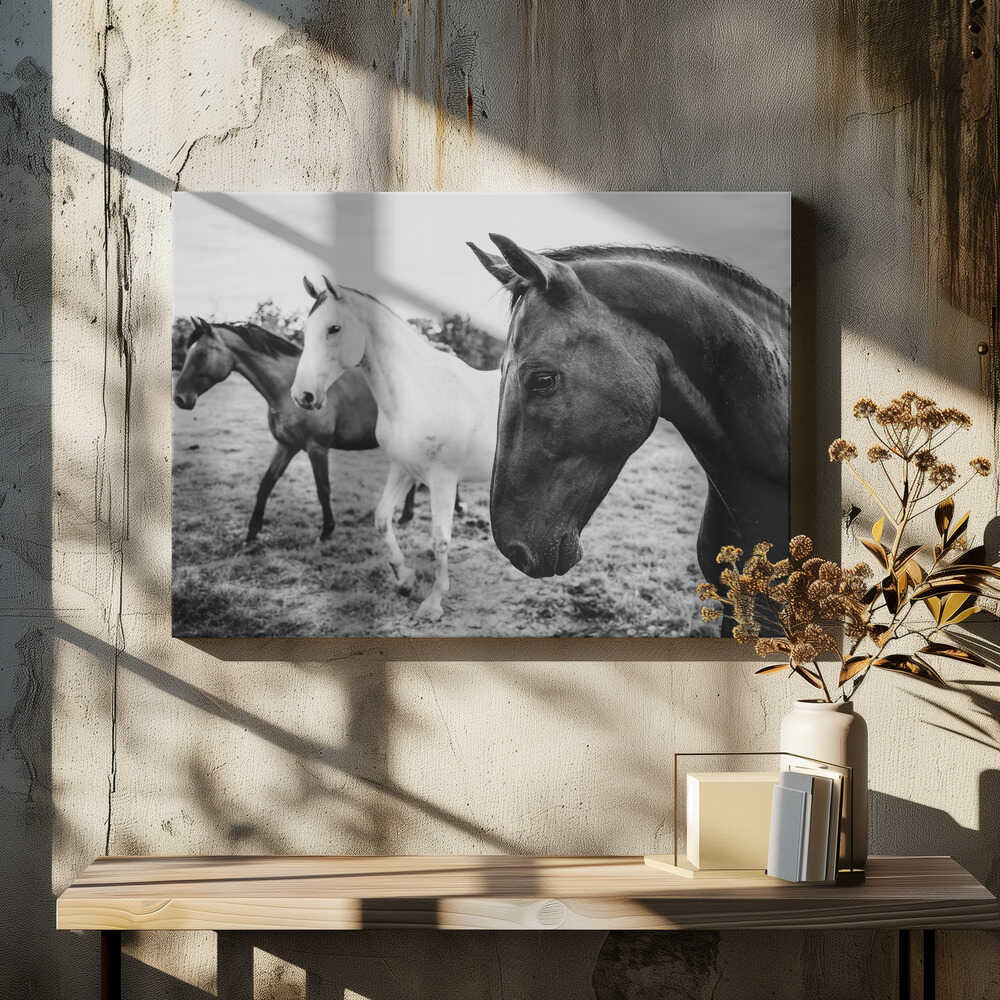 a short story about the foreground