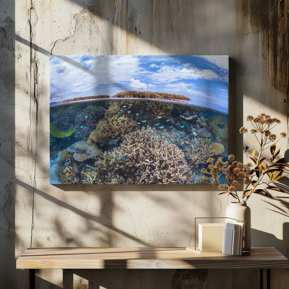 Split level from Mayotte reef