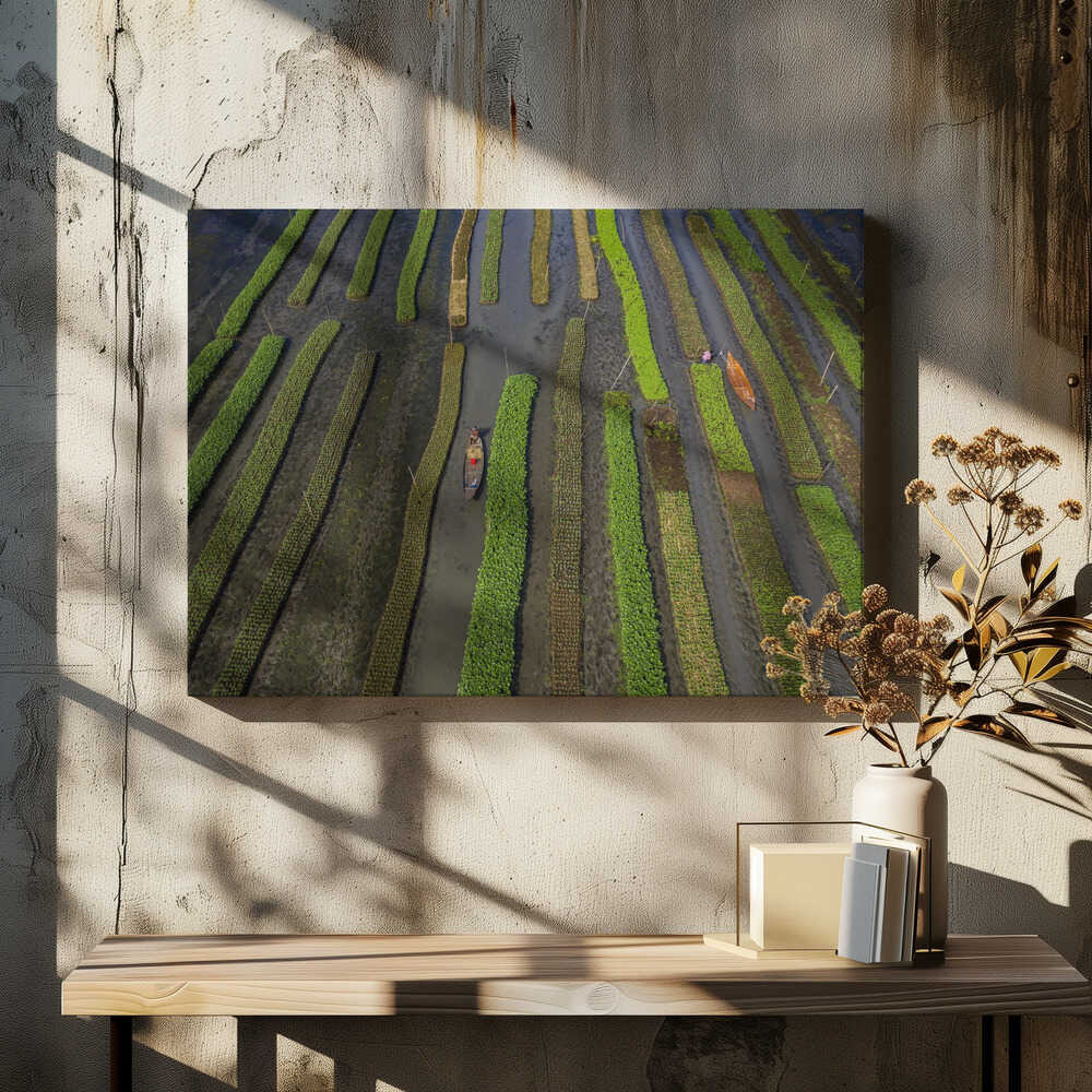 Traditional floating vegetable garden