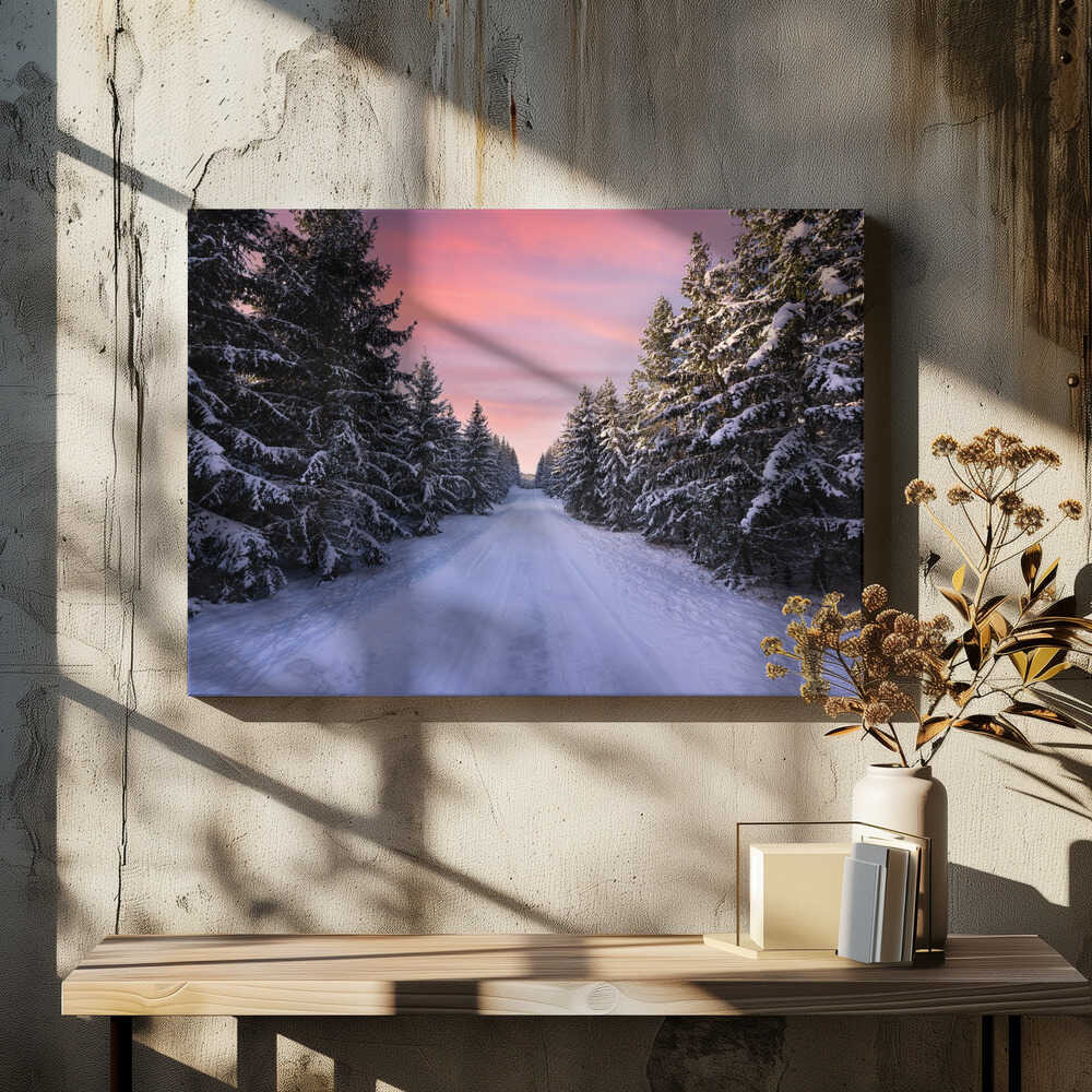 Road into the winter forest
