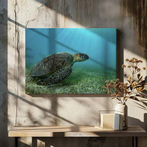 Art Prints of Into the light