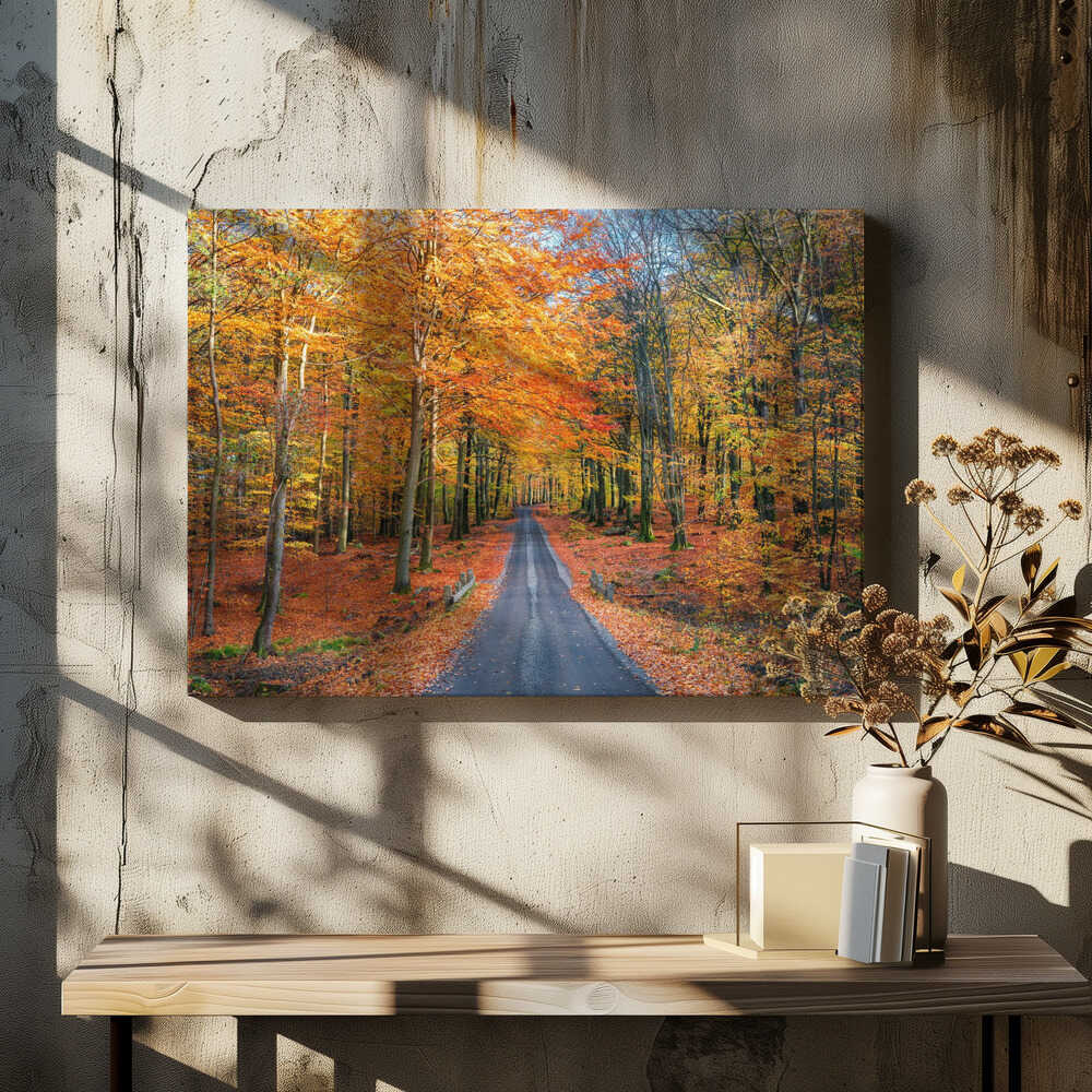 Road into autumn