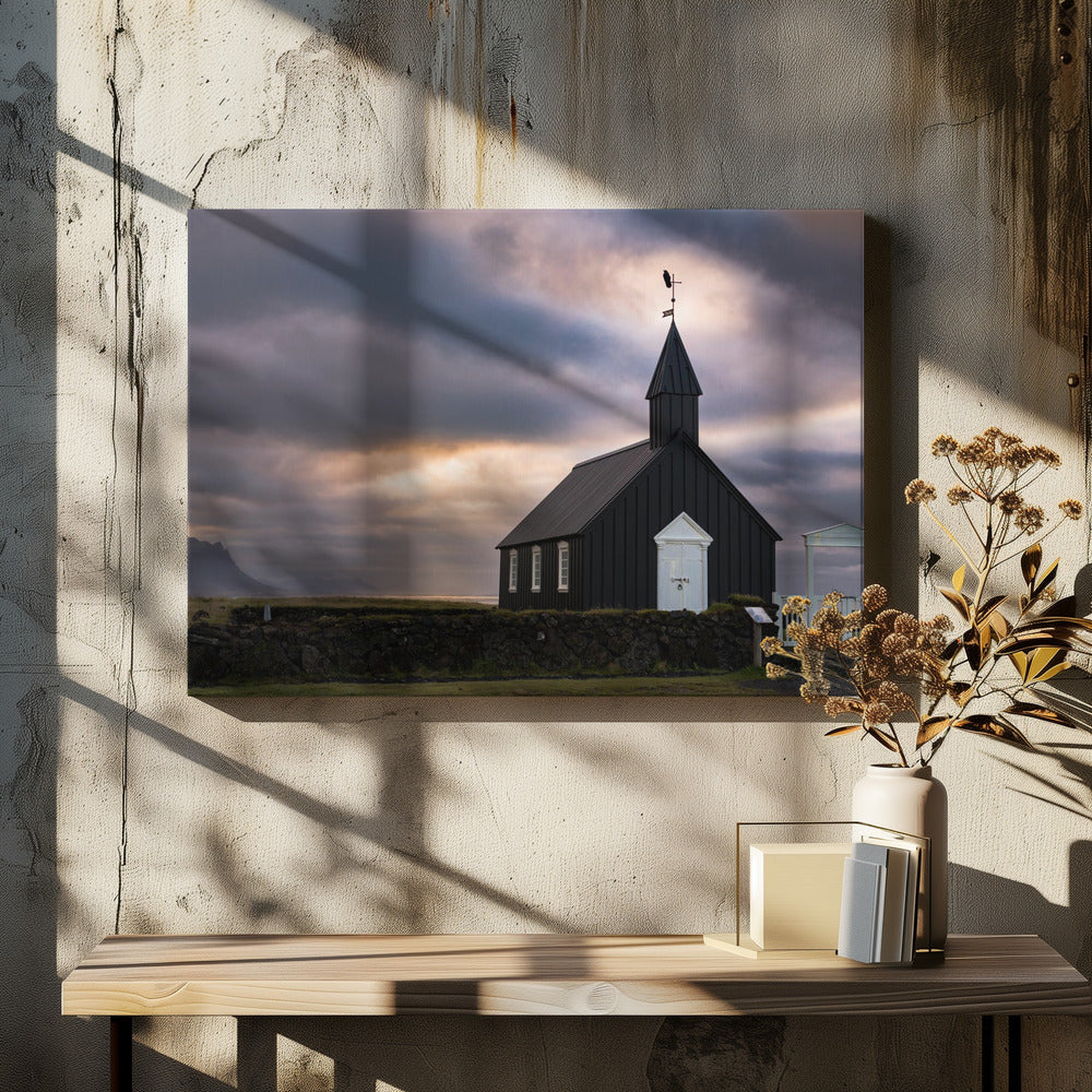 Black bird enjoying the sunset