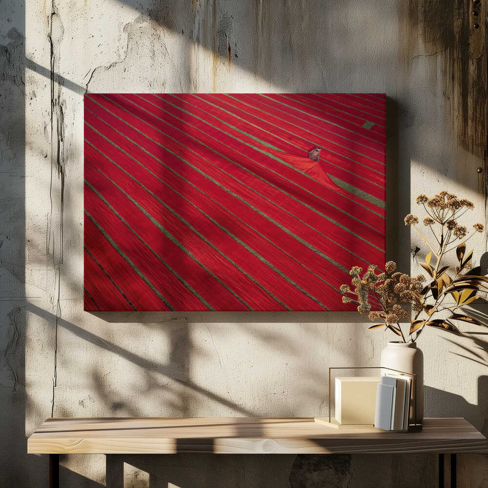 Drying clothes in the fields