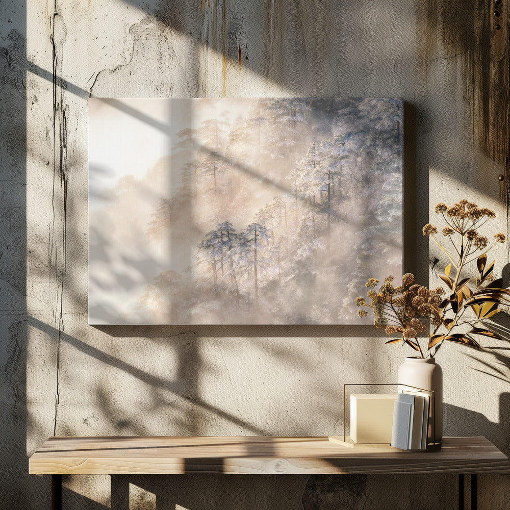 Pinus taiwanensis in the clouds.