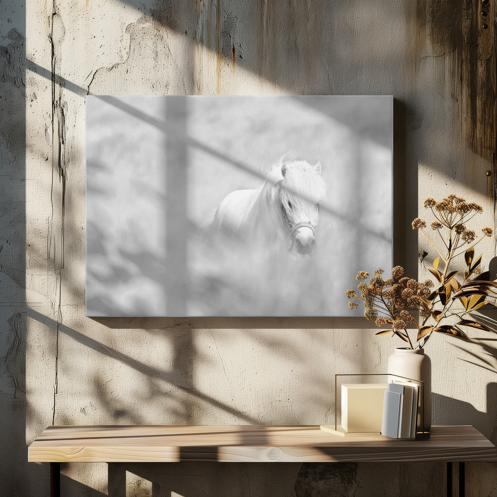 Art Prints of White horse