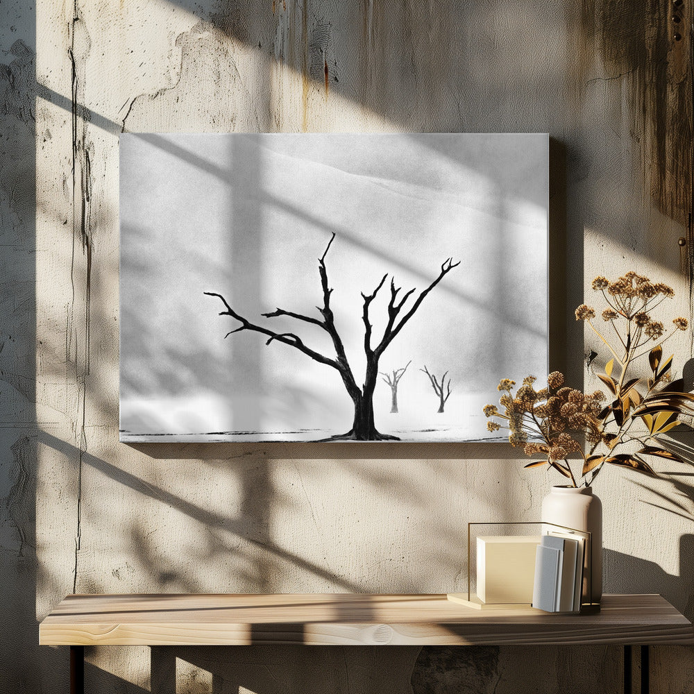 Namibia: The Spirit of Wilderness