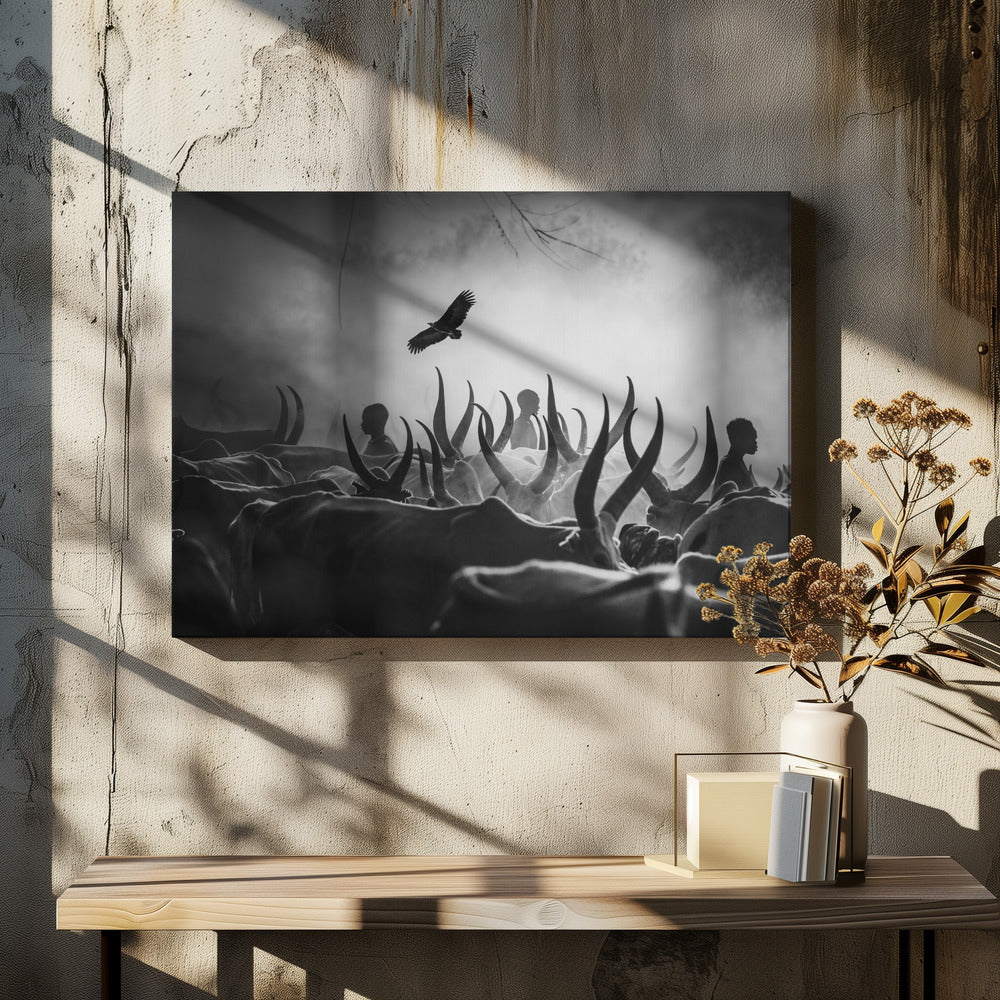 The shadows of Mundari