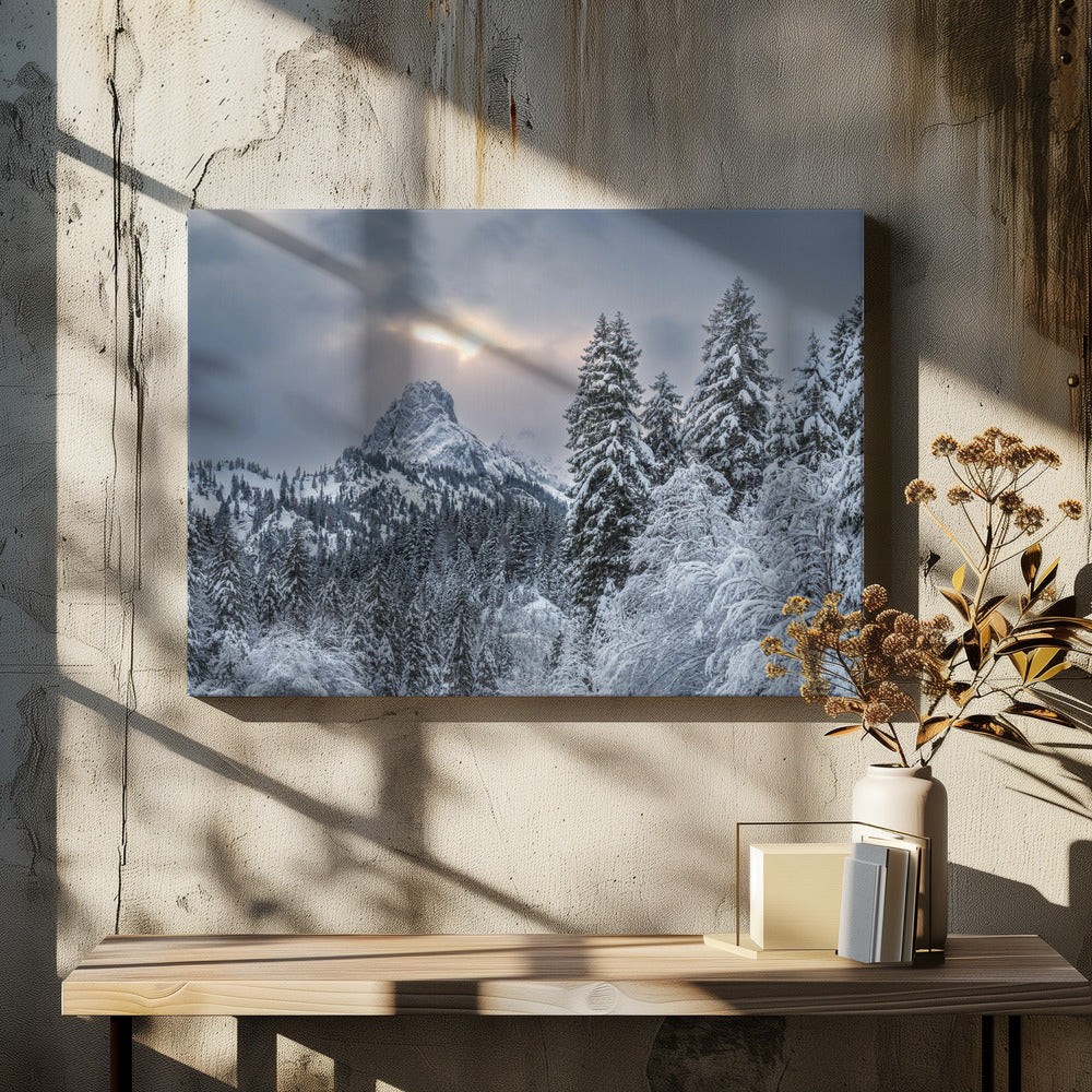 The alpine freshness