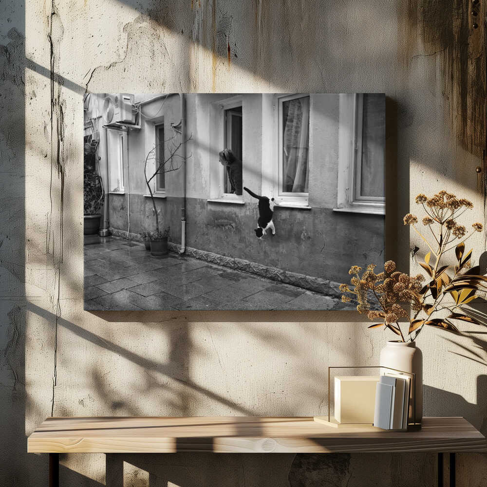 lookinginthesamedirection