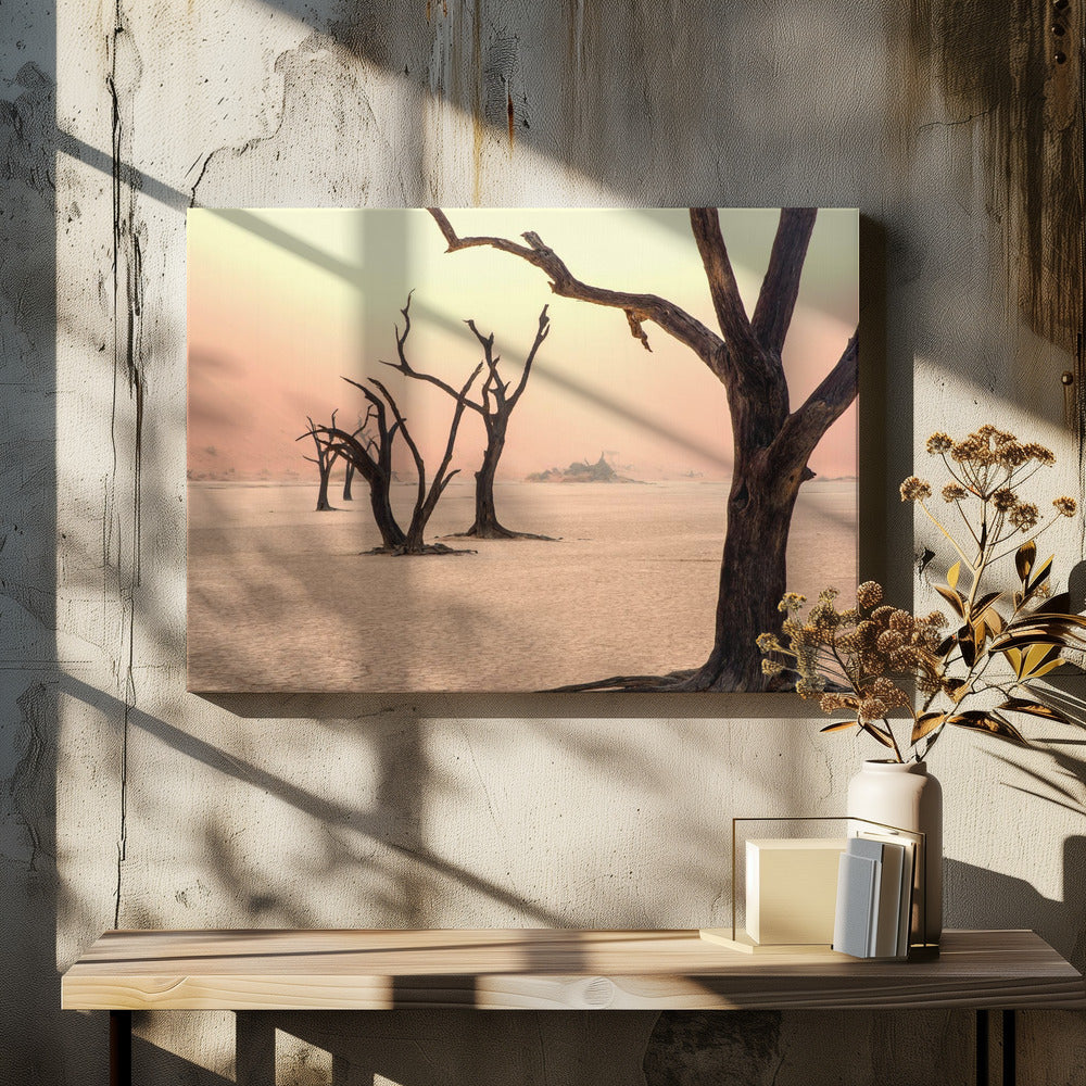 Fog and trees in the desert