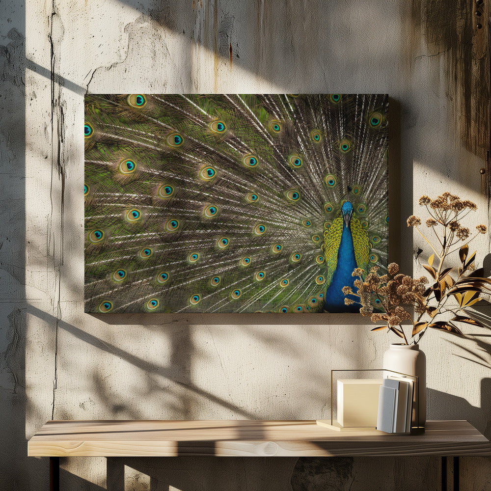 Art Prints of Wild Beauty