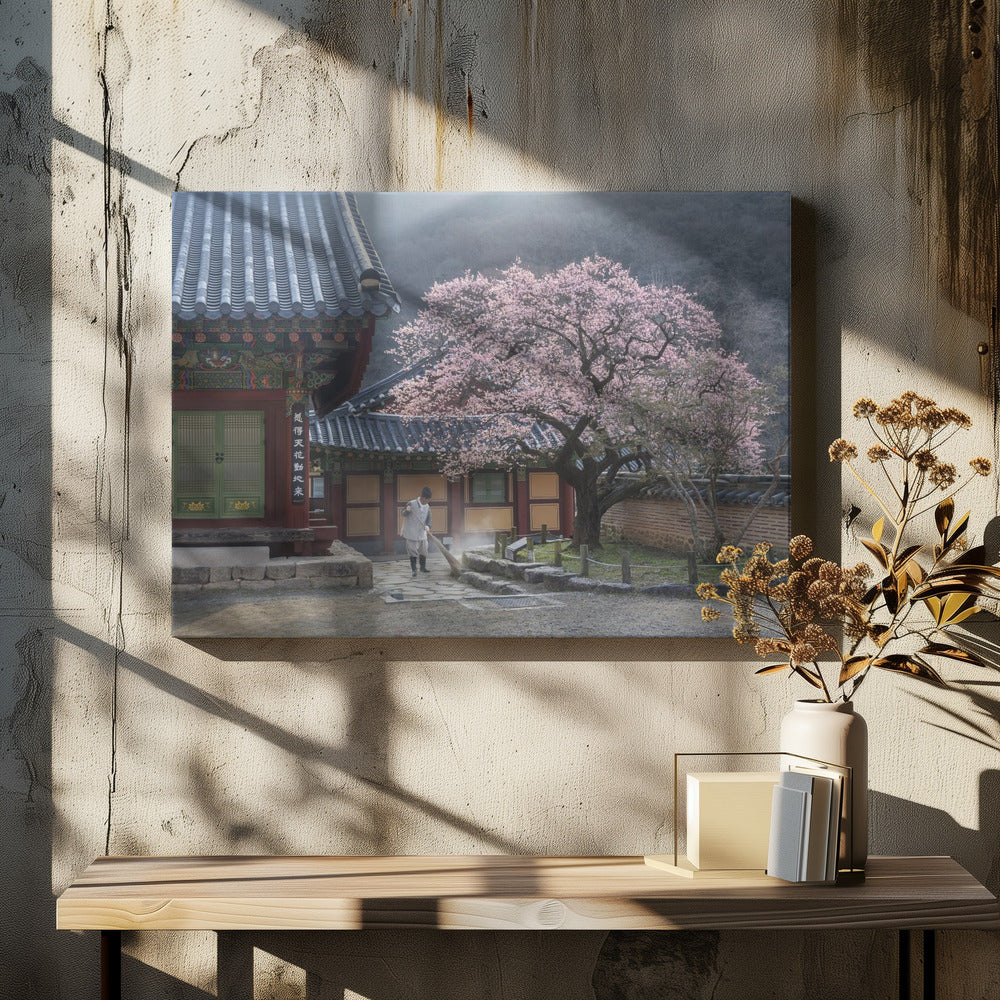 The scent of spring, baekyangsa