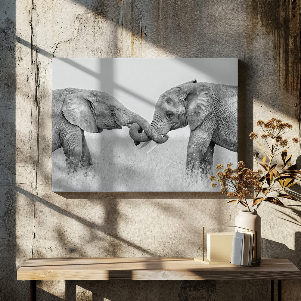 Art Prints of Confrontation