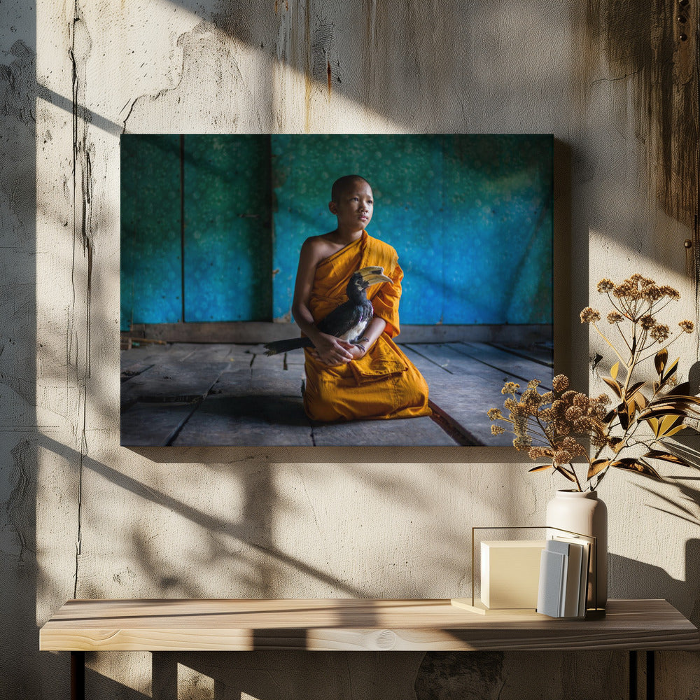 The Young Monk and his pet Hornbill