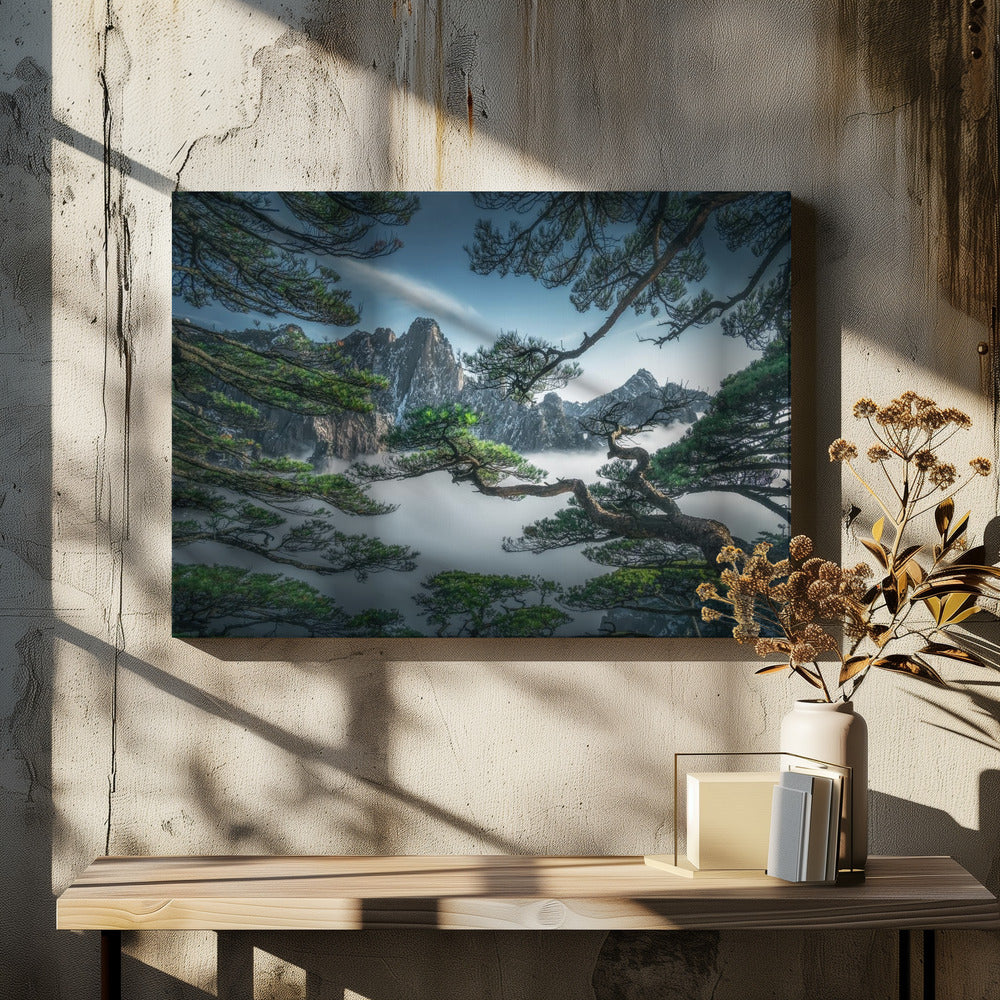 Strange pine tree in Yellow mountain